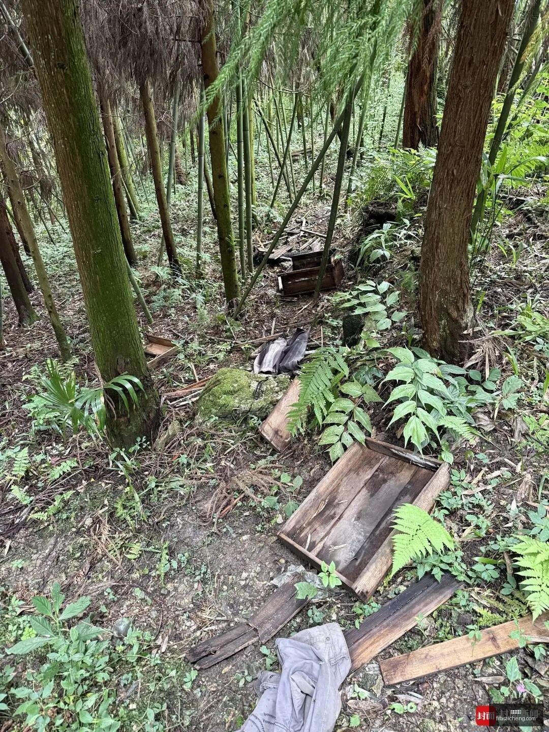 荣耀电竞新,品发布,轻薄设计受,乐竞体育,乐竞平台,体育赛事,乐竞娱乐,体育竞猜